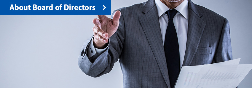 About Board of Directors